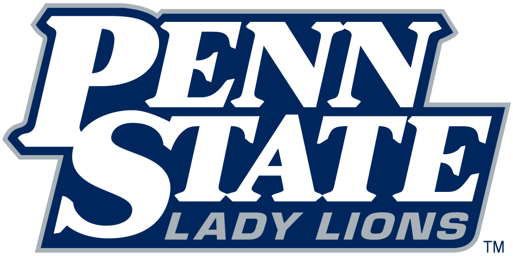 Penn State Nittany Lions 2001-2004 Wordmark Logo v2 diy DTF decal sticker